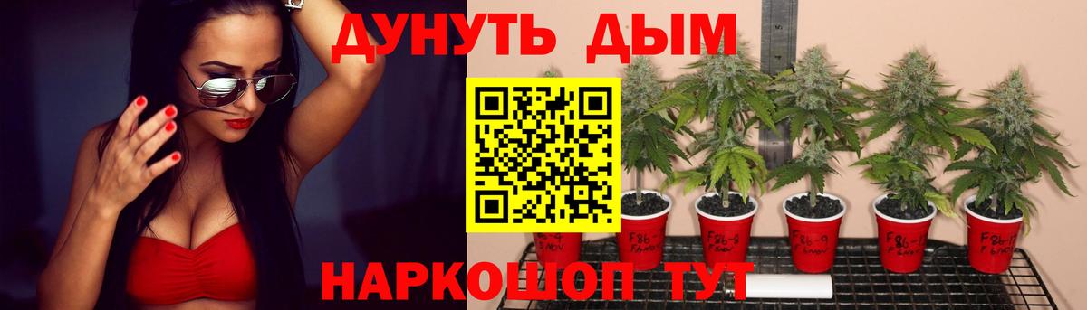Марихуана тримм  Вход с VPN  Бошки марихуана тримм  Вятские Поляны  Каннабис индика 